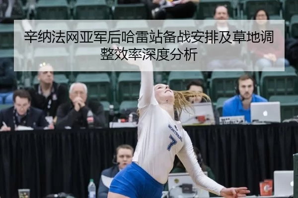 辛纳法网亚军后哈雷站备战安排及草地调整效率深度分析